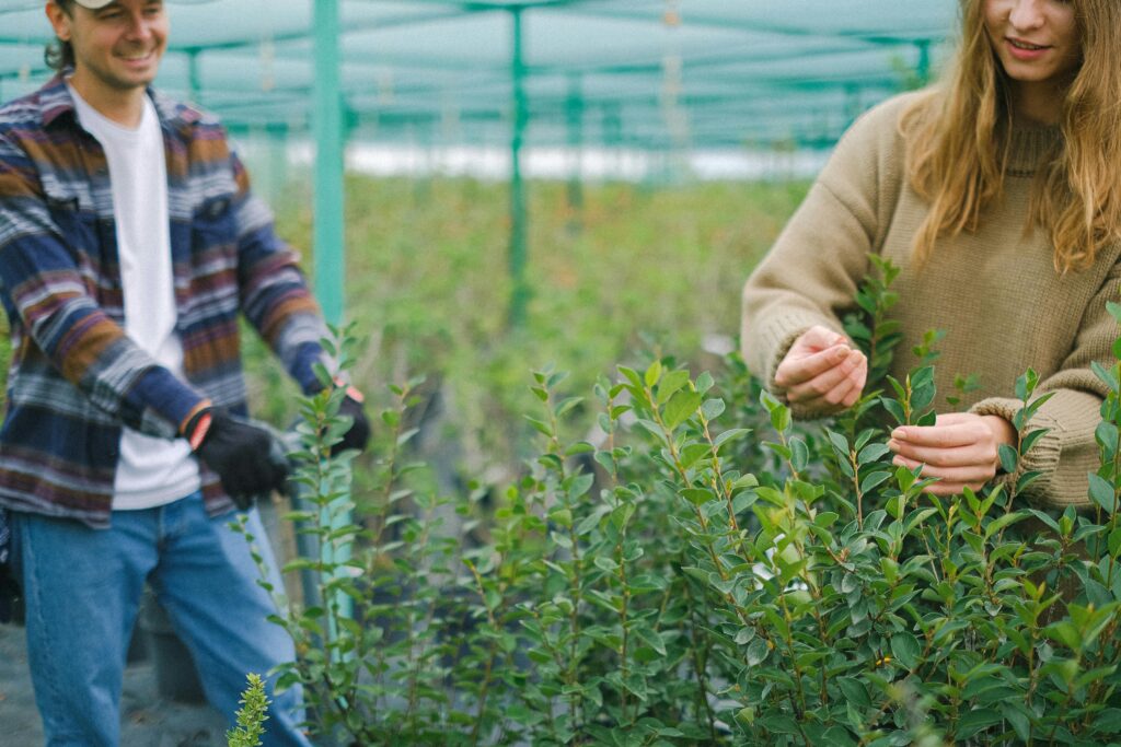 Mand and woman choosing nursery plants