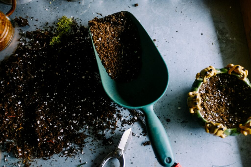 Plant soil with garden trowel