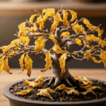 Bonsai tree with yellow, dying leaves